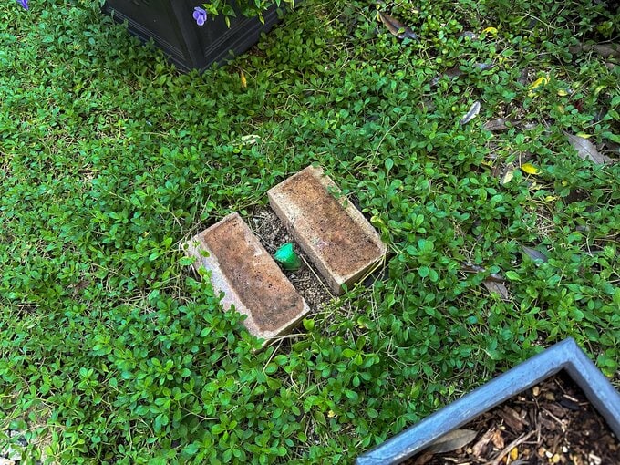 未使用の庭の電源口