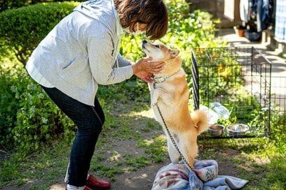 犬って二足歩行？立ち続けて見つめた相手と、その理由＜inubot回覧板＞