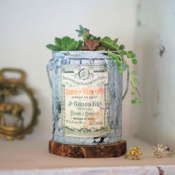 あき缶をリメイクして多肉植物を寄せ植え