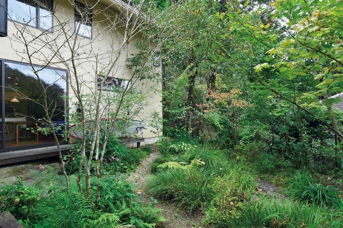 リビング北側の濡れ縁から見た庭