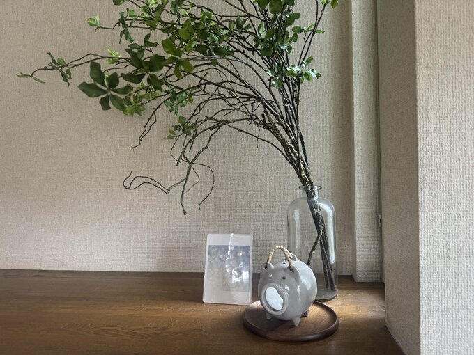 蚊取り線香と植物