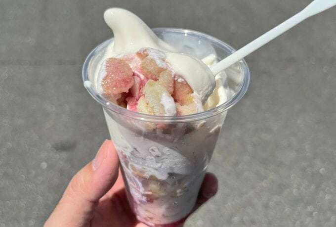 ハロハロ 果実氷 巨峰中身