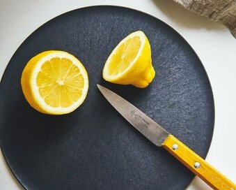 小倉優子さん愛用のニトリ599円名品も。暮らしの達人が選ぶコスパ最強グッズ