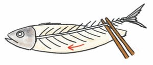 上身を食べ終えたら頭ごと中骨を外す