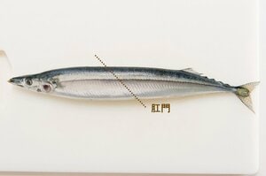 斜めにカットが決め手