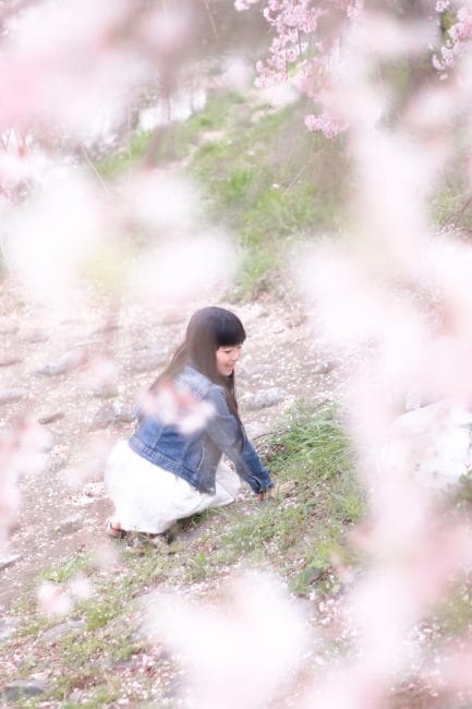前ボケに桜を入れてみて