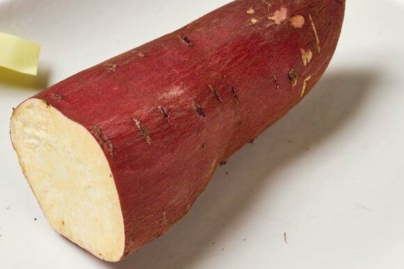 シルクスイート