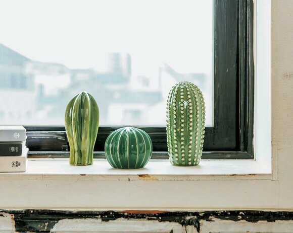 サボテン3点セット