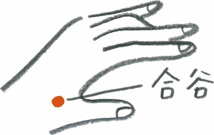 手のひらのイラスト