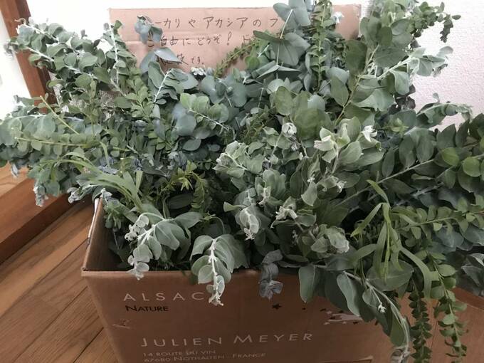 ユーカリのブーケ