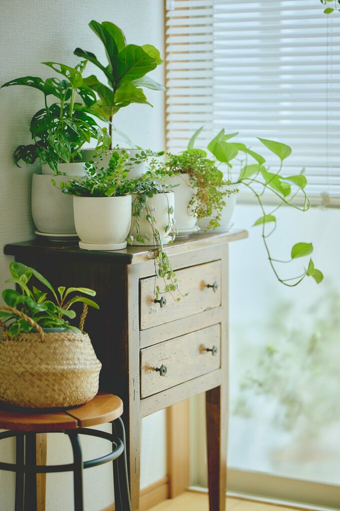 ガーデニング用品を入れている窓辺の棚