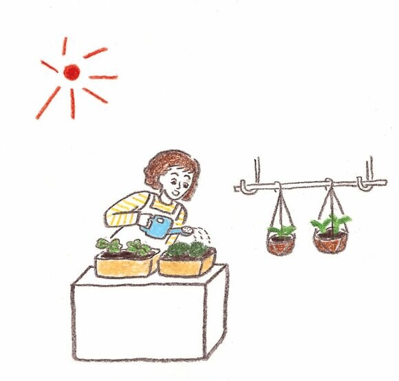 短期間で確実に成長させるため日当たりと水やりに注意
