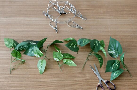 夏らしく少し色味が濃いポトスのようなグリーン