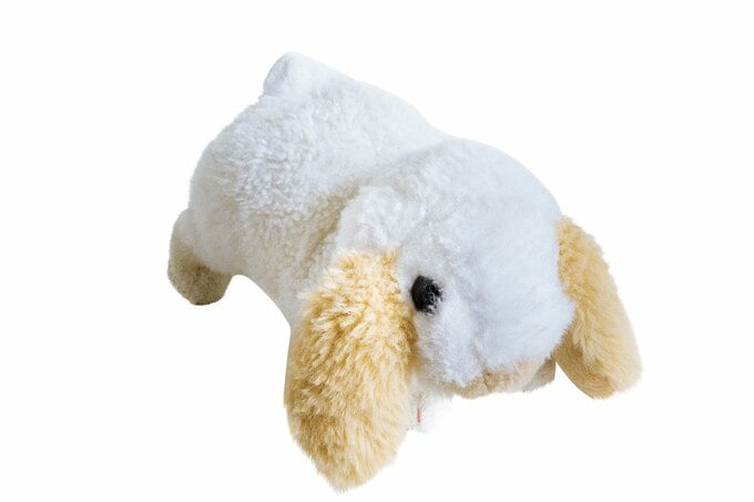 うさぎのぬいぐるみ