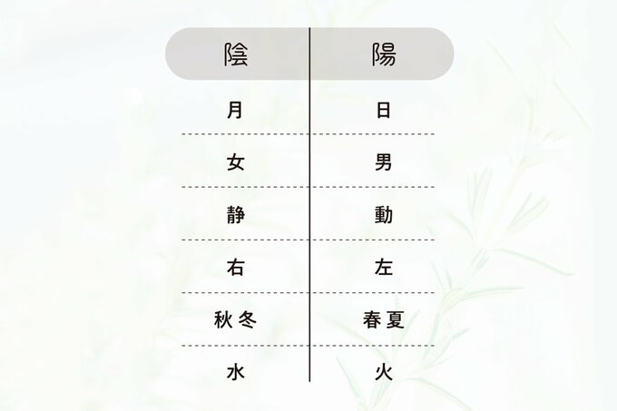 陰と陽の分類