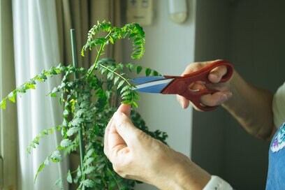 72歳ひとり暮らしが直面した「体力と気力の落ち込み」。体と心が一致しない自分も受け入れる