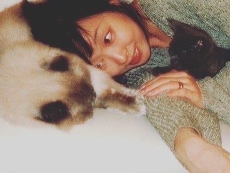 猫と30代の川上麻衣子さん