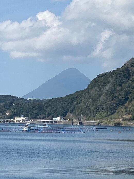 (ブリの養殖場)
