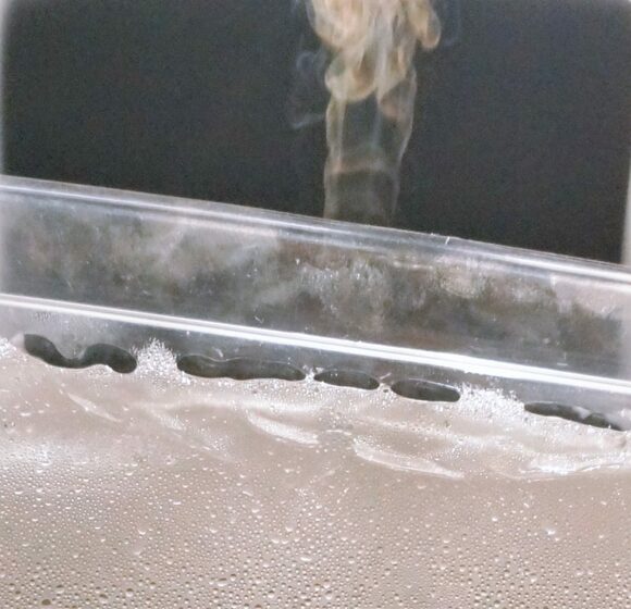 ブクブクと発熱