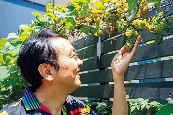 アプローチにもフェンス