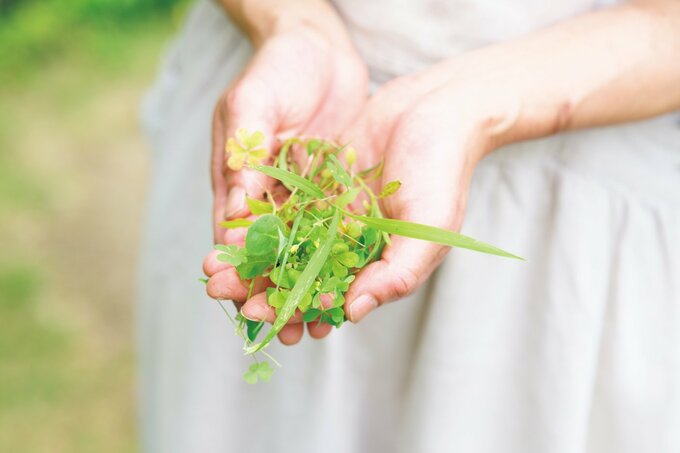 両手で雑草を持っている様子