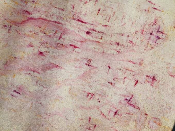 赤紫色になった