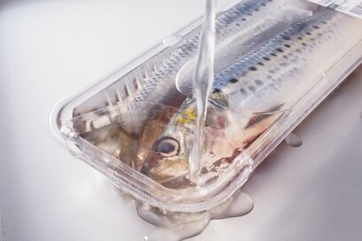 アジ、イワシ、カキの正しい冷凍保存法！氷漬けで臭みを消し、鮮度をキープ
