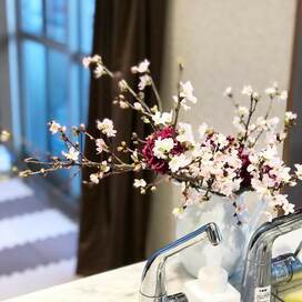 桜や桃の枝を花ビンに生けるコツ。こうすればぐらつかない