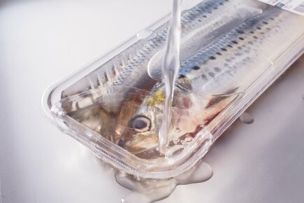 氷漬けで臭みを消して鮮度をキープ【アジ・イワシ】