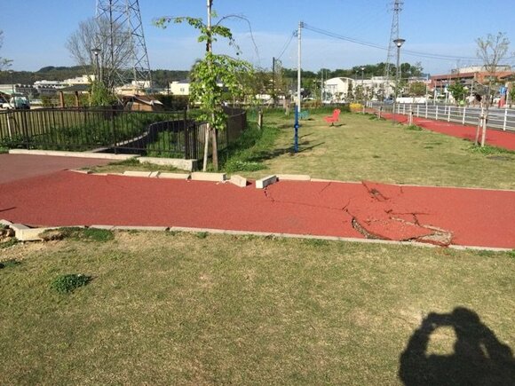 保育園、小中学校