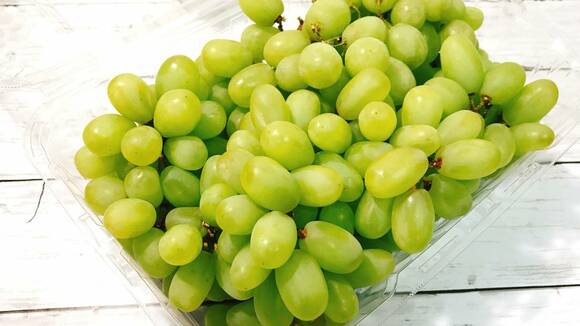 シードレスグレープ