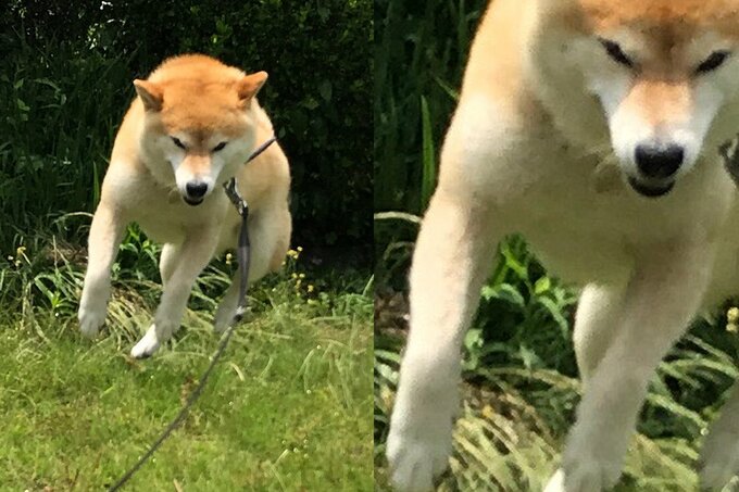 隆々とした右腕の筋肉