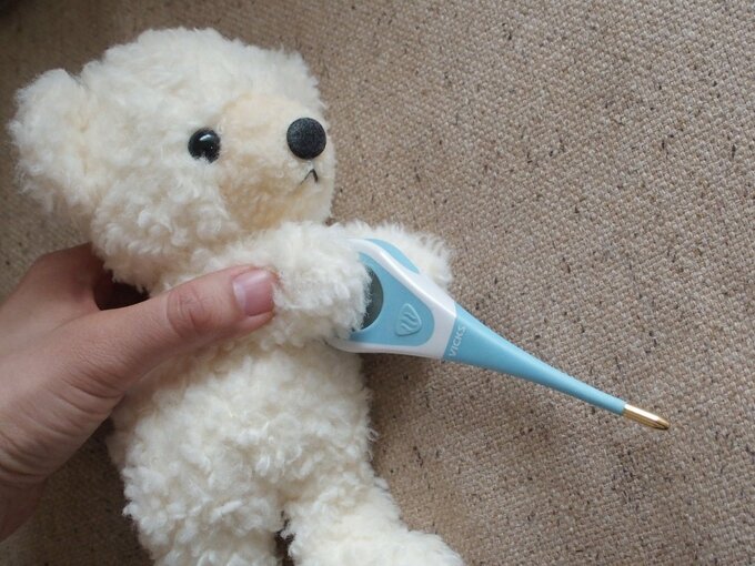 ヌイグルミと体温計