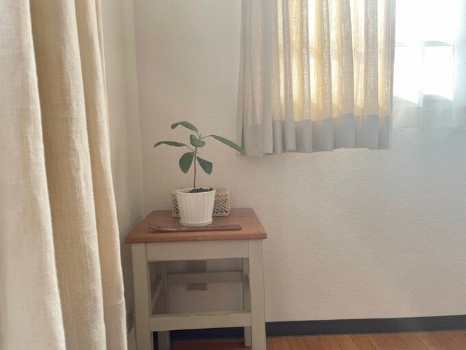 お気に入りのグリーン