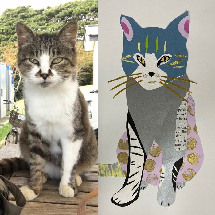 ラスト✩廃盤品✩J673＃猫の女郎(PET)切り売り海外人物女の子AIマステ 57歳・川上麻衣子さんが5年ぶりの「猫の島」で感じた変化と“生きること