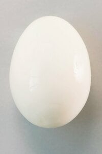 氷水で急速に冷やすときれいにむける率が高い！