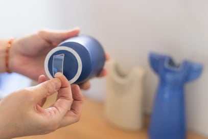 大地震で身を守る「リビングの防災術」3つ。花ビンは固定、観葉植物は窓際に置かない