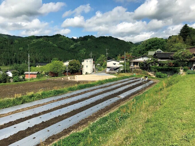 作物を栽培する場所