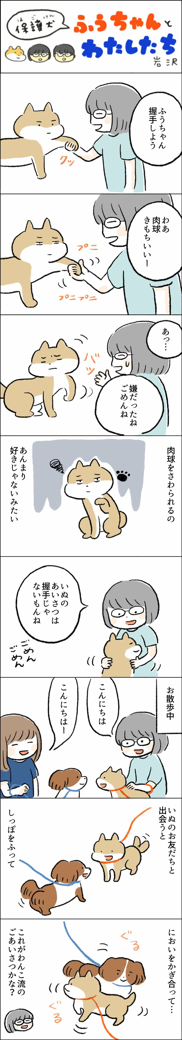 わんこの魅惑の「プニプニ肉球」。触りたいけど触らせてもらえない…その理由に納得 | ESSEonline（エッセ オンライン）