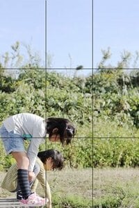 ワンランク上の写真を撮ろう
