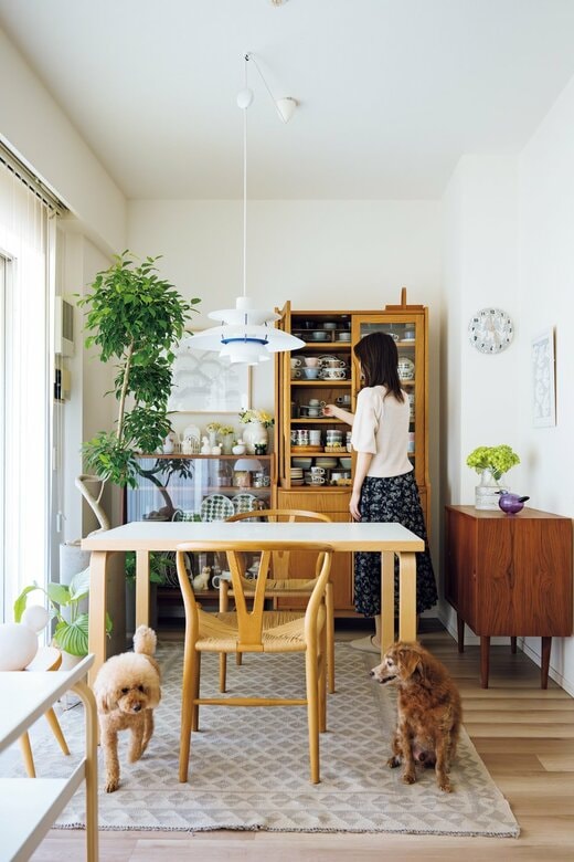 リビングで食器を愛でるhappy♪さんと2匹の犬