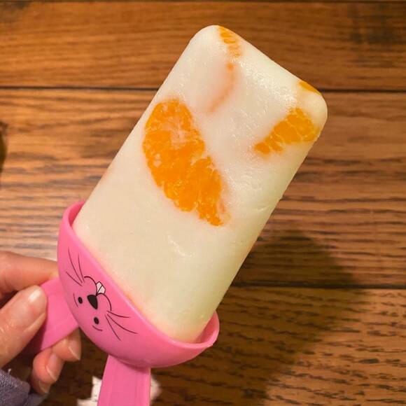 簡単アイスキャンディー