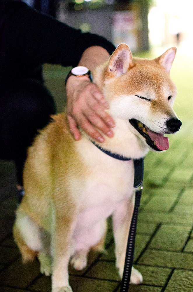 母が妹の晩御飯を温め直してくれていた