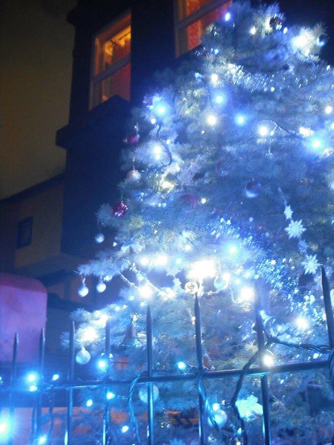 クリスマスツリー