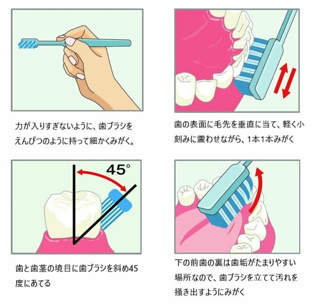 歯磨きの図