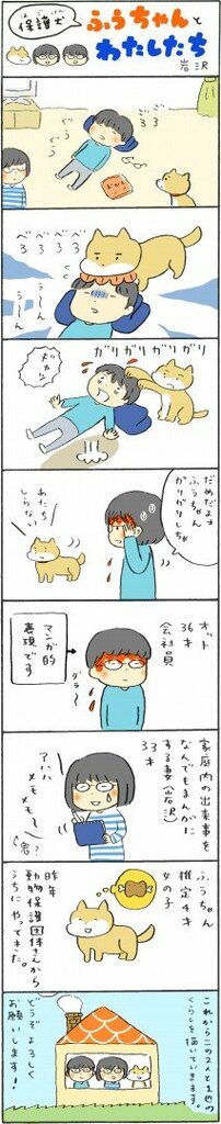 ふうちゃんの「かまってサイン」がかわいすぎる