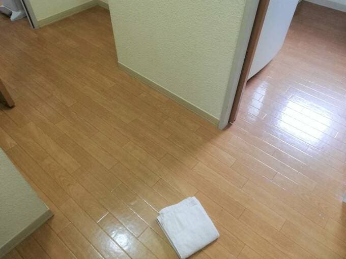 古タオル1本でホコリがたまらない ぐろ掃除 って何 Esseonline エッセ オンライン