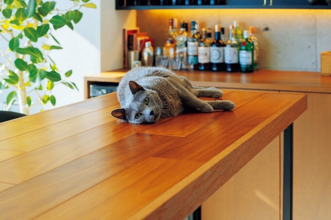 天板はフローリング材に