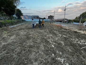 愛媛と東京での二拠点生活。作家であり農家でもあり続けたい＜暮らしっく＞