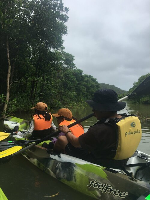 アクティビティ